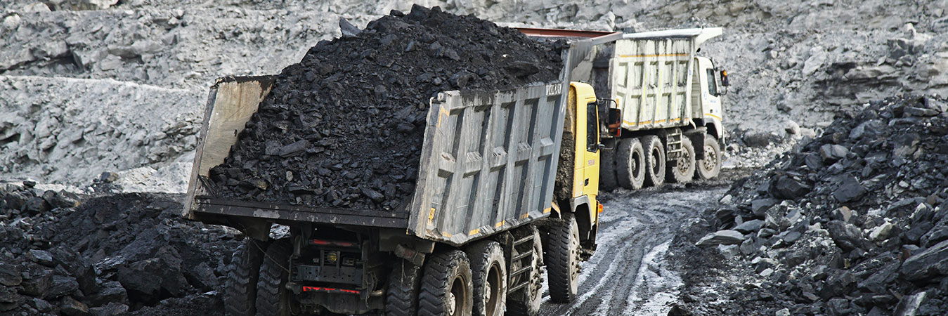 Coal